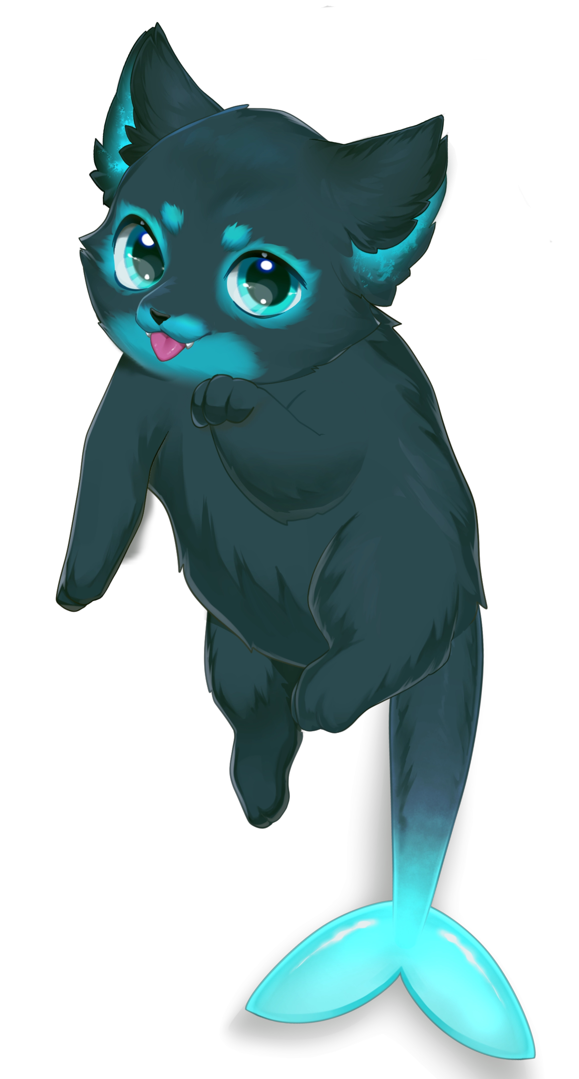 Echo